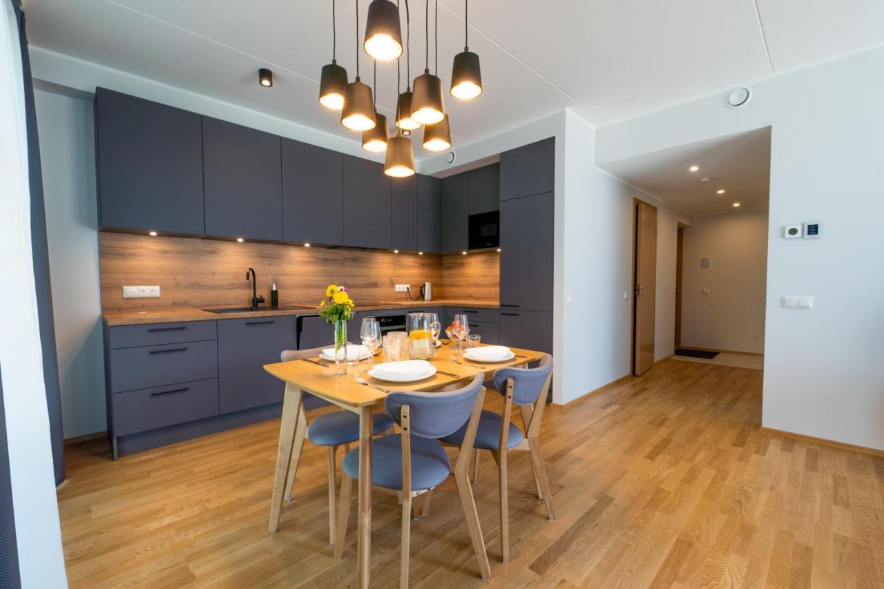 Delta Luxury Apartment With Terrace Tartu Exteriér fotografie